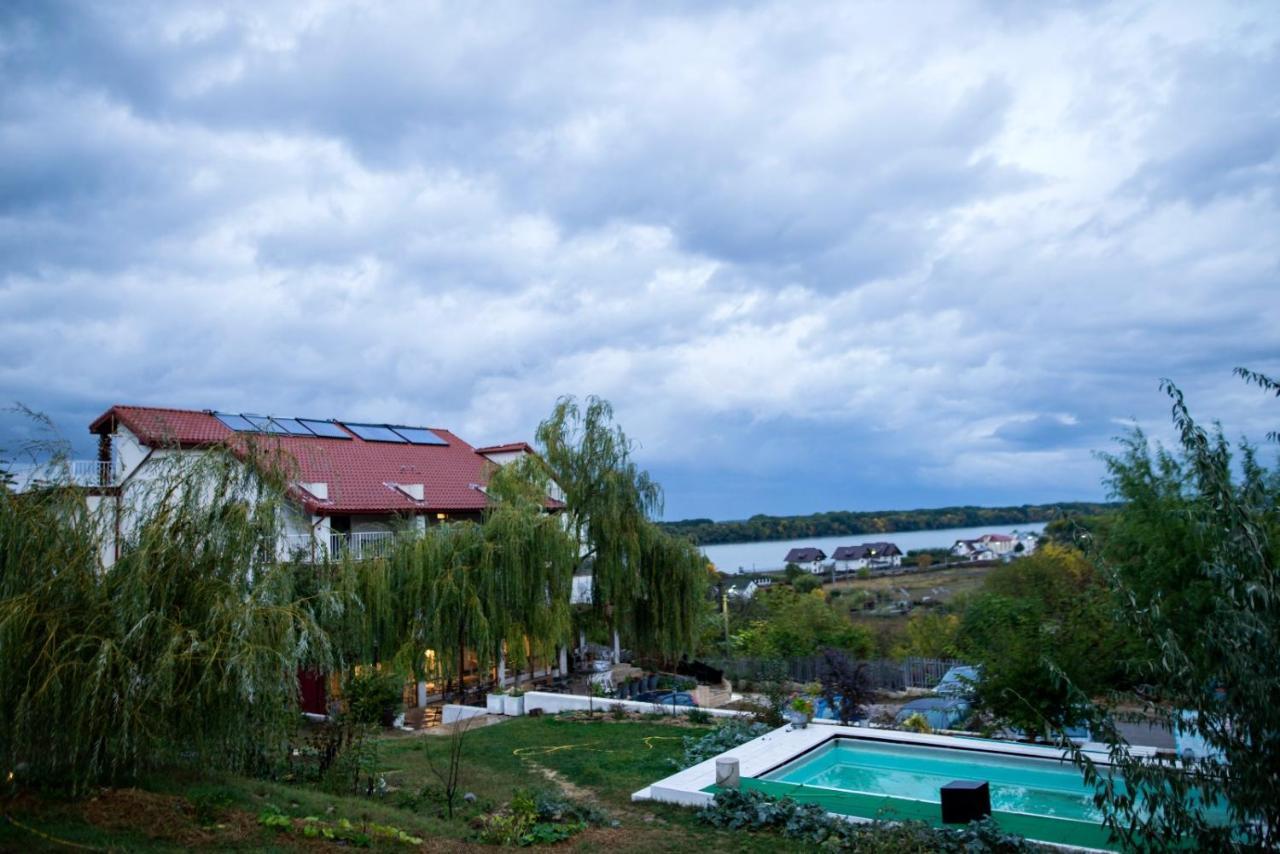 Pensiunea 4 Salcii Băltenii de Sus Exteriör bild