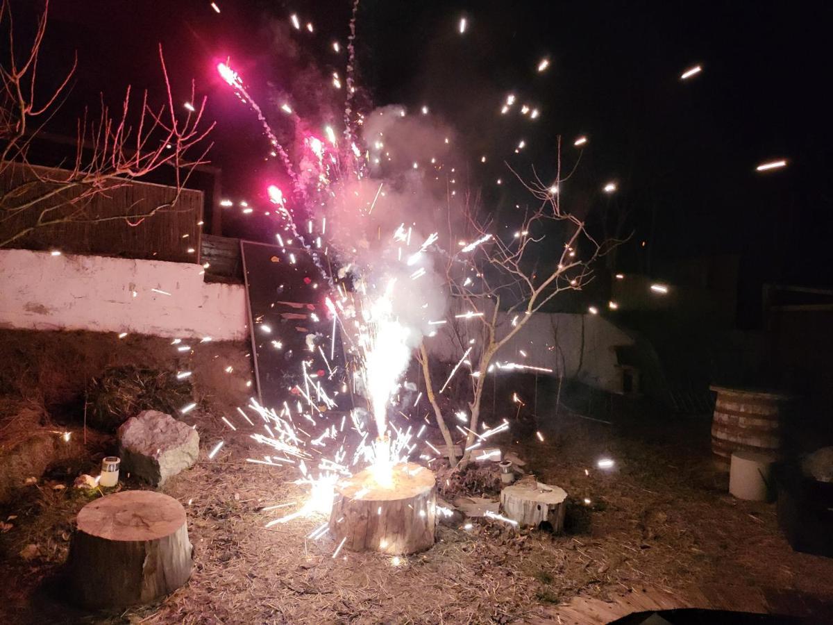 Pensiunea 4 Salcii Băltenii de Sus Exteriör bild